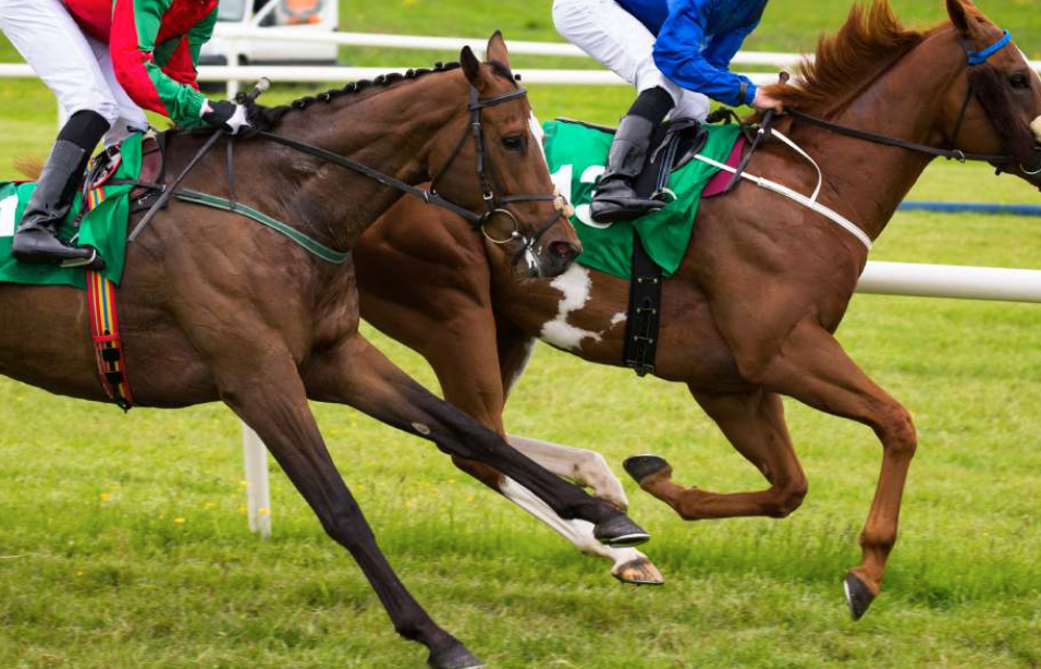frequence turf || frequenceturf